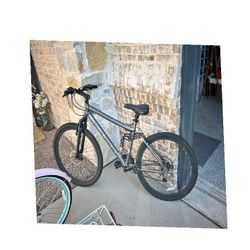 Regular Adult Bike - Smooth Cycling for Everyday Needs information recent