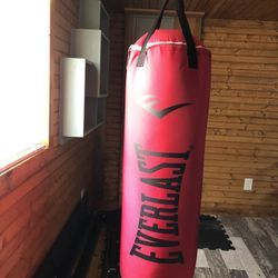 Everlast 80 Pound Bag! 