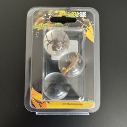 Real Bug Marbles Spider, Scorpion