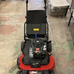 TimeMaster 30 in. Briggs & Stratton Personal Pace Self-Propelled  Walk-Behind Gas Lawn Mower with Spin-Stop