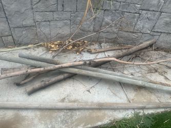 FREE WOODS