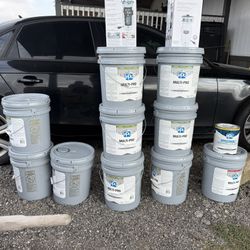 Semi Gloss  Y Flat  Y Primer