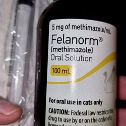 Felanorm