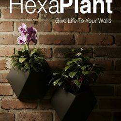 Modern Hexagon Wall Planter – Indoor Vertical Plant Decor – HexaPlant