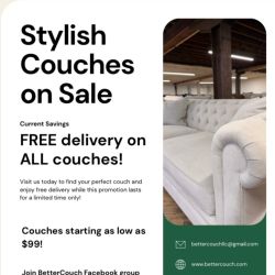 Free delivery sectional sofa couches
