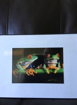 Small Framed Frog Photo
