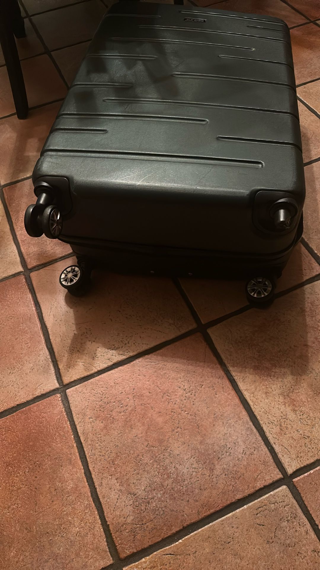 The Bag Lasts Anything - Luggage 