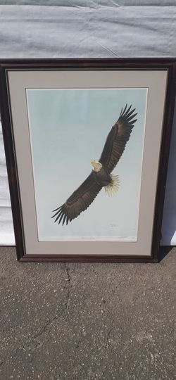 Vintage Large American Eagle Print