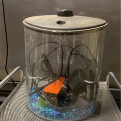 Betta Fish Tank 