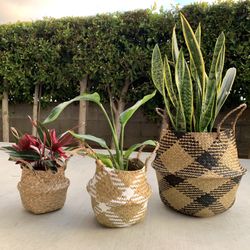 Seagrass Basket Woven Basket Plant Basket Boho Planter Bohemian Wicker Basket