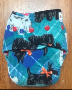 Sassy Bums Night Cloth Disper