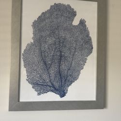 Coral Framed Print