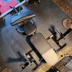 Workout Bench 