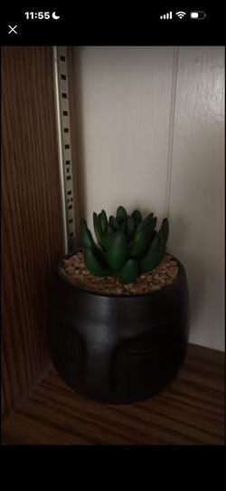 Faux Succulent in Black Face Planter