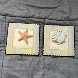 Sea Shell🐚wood Frames 