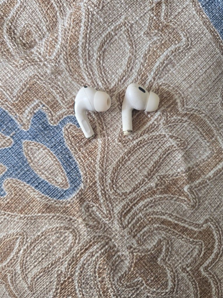 Apple Earbuds