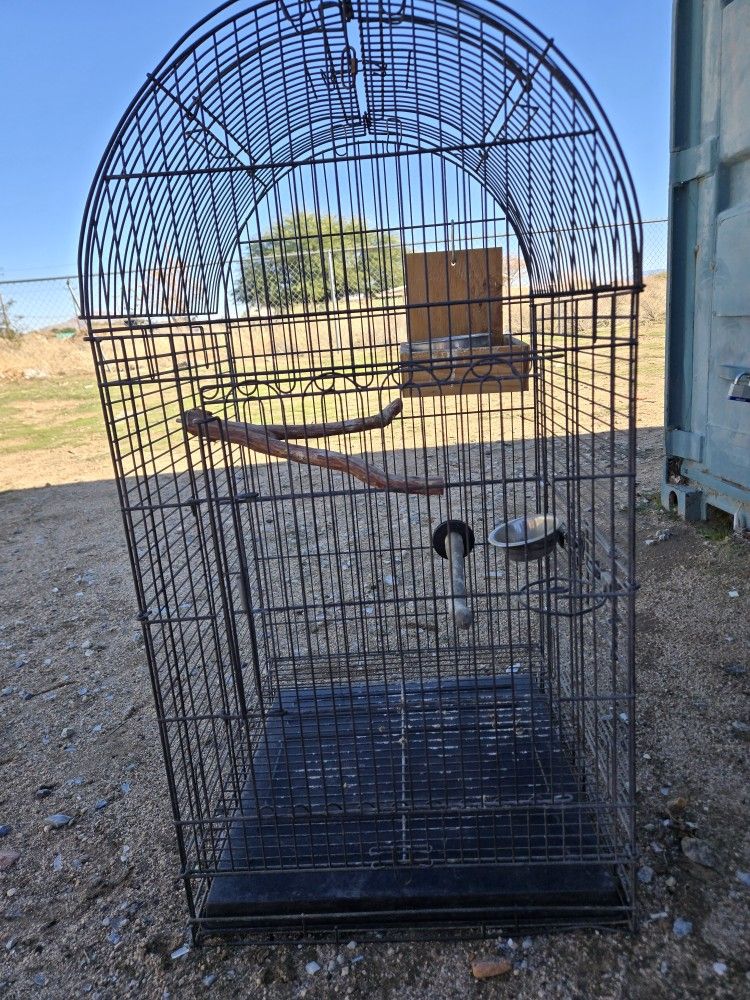 Bird Cage