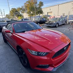 Custom Automotive Paint Gallons 