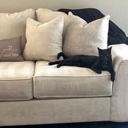 Sofa bed 