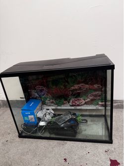 Fish Tank