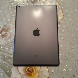 iPad 