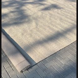 Brand new carpet 12x22.6 feet 
