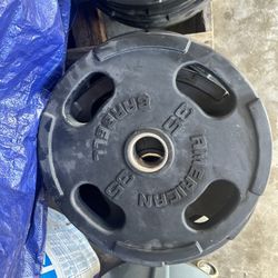 35lb Rubber Olympic Weight Plates