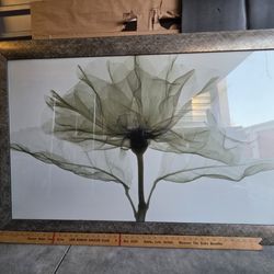 Framed print 54 x 37