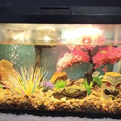 Fish Stuff