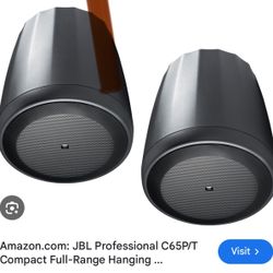 Pendant Speakers 