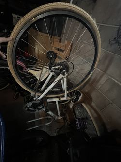 Bianchi Cortina 42 Bike