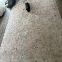 8x10 Area Rug. Soft Pink, Cream And Light Greenish Colored. It's Machine Washable. Non-slippery. Easy To Clean.