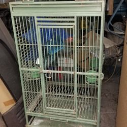 Parrot Or Bird Cage