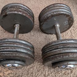 85lb Professional Dumbbells 