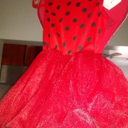 Lady bug costume 2t to 4t