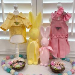 dog clothes , dog dress , dog shirt