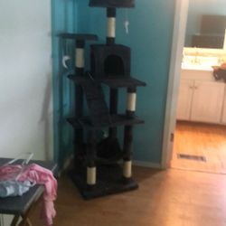 Cat tree 