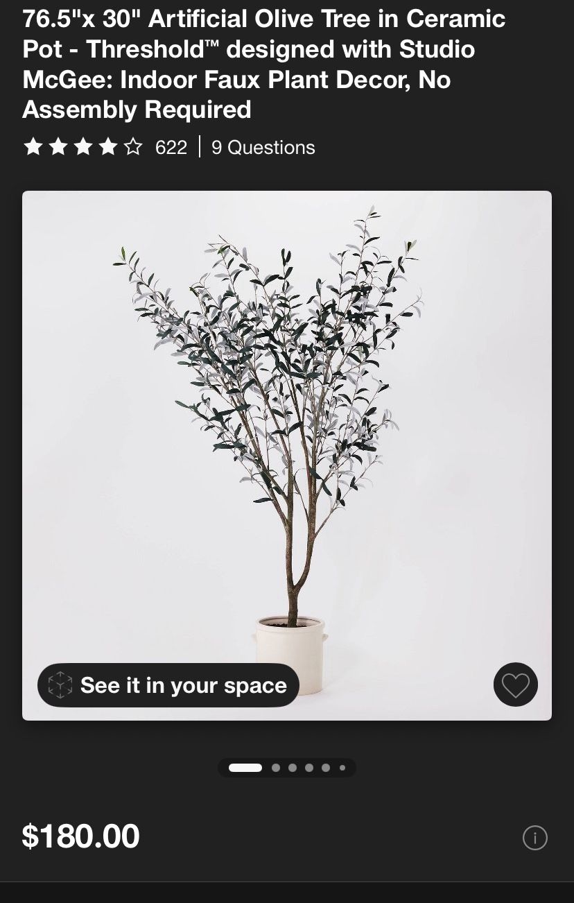 Olive Tree In a Ceramic Pot-Threshold