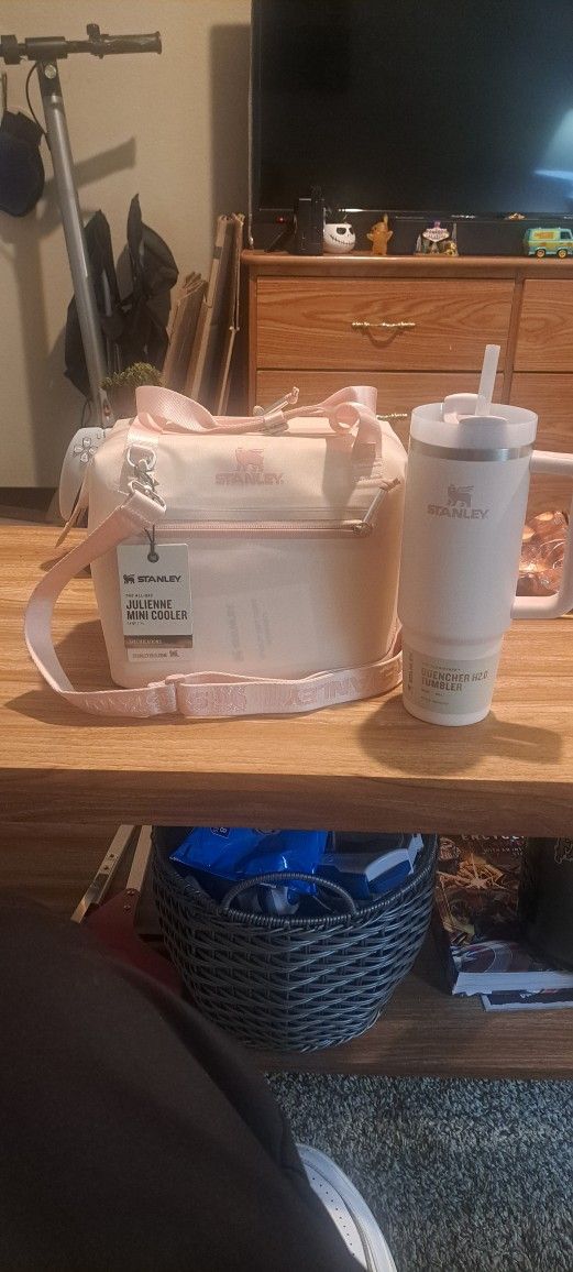 Stanley Julienne Mini Cooler Bundle