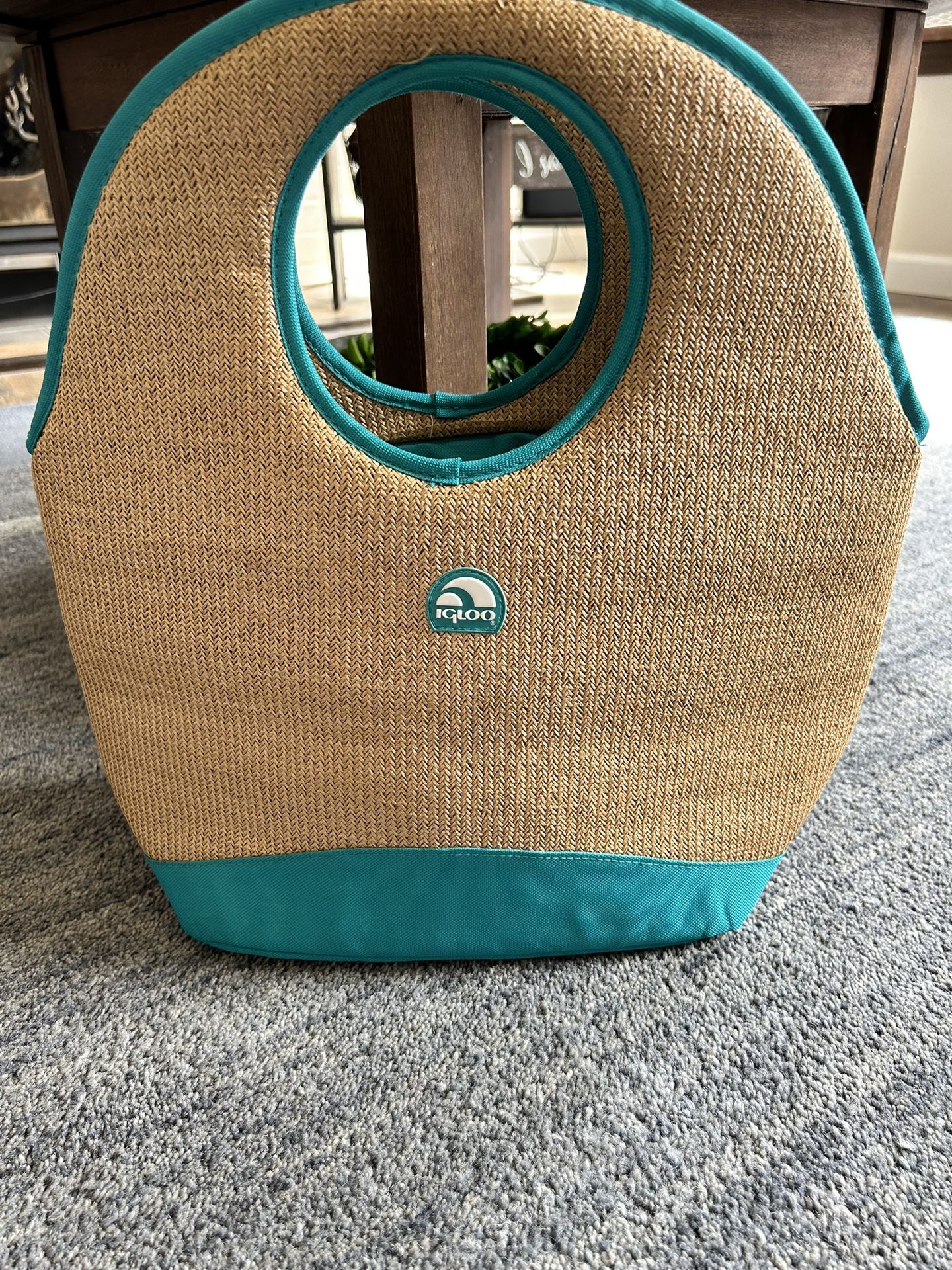 Igloo Cooler Bag