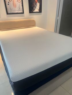 Sealy queen extra plush foam mattress
