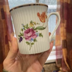 6 Jlmenau Porcelain Glasses