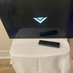 Vizio 24” flat Screen With Wall Mount