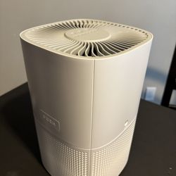 Air purifier 