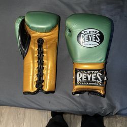 Cleto Reyes WBC color 14 Oz traiing glove