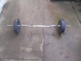 Curl Bar And 15 lb Plates
