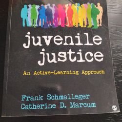Juvenile Justice: An Active learning Approach