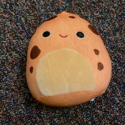 Cookie Sqwishmallow