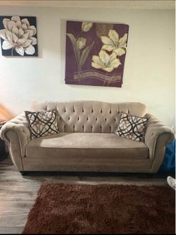 Custom Velvet couches