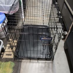 Collapsible Dog Crate